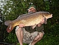 Jacko, Chilham, 13th Aug<br />20lb common